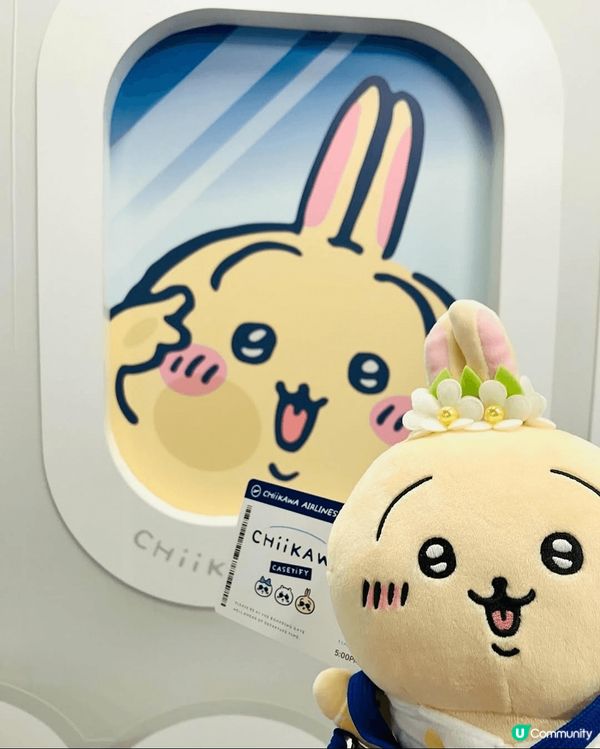 去手機殼專門店打卡