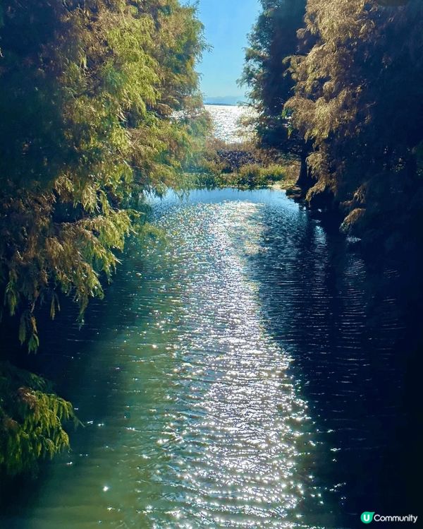 蒼山洱海的溫柔、古城小巷的煙火、熱帶雨林的神秘