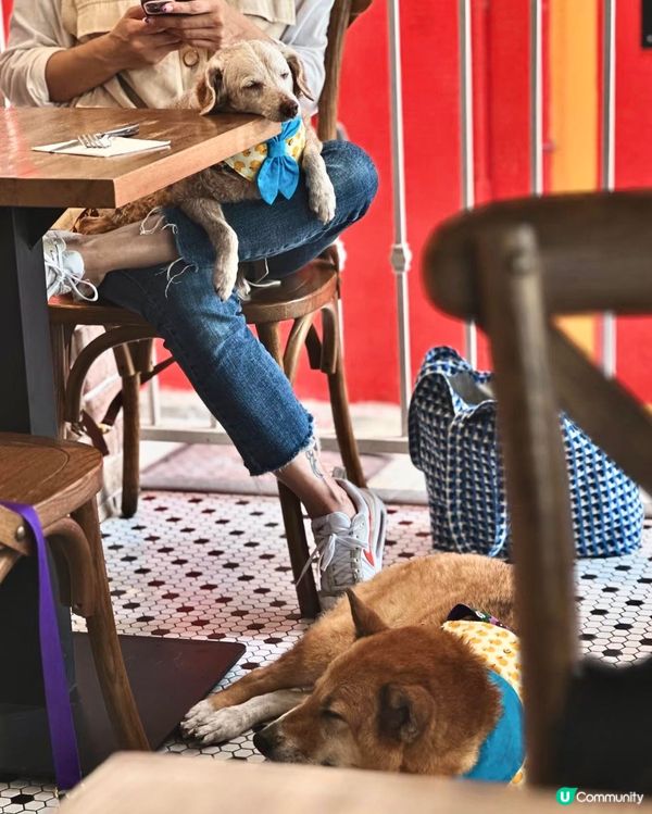 以城市命名的brunch 🍽️