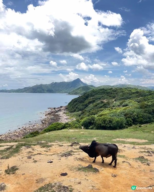 塔門島，香港後花園 🏝️