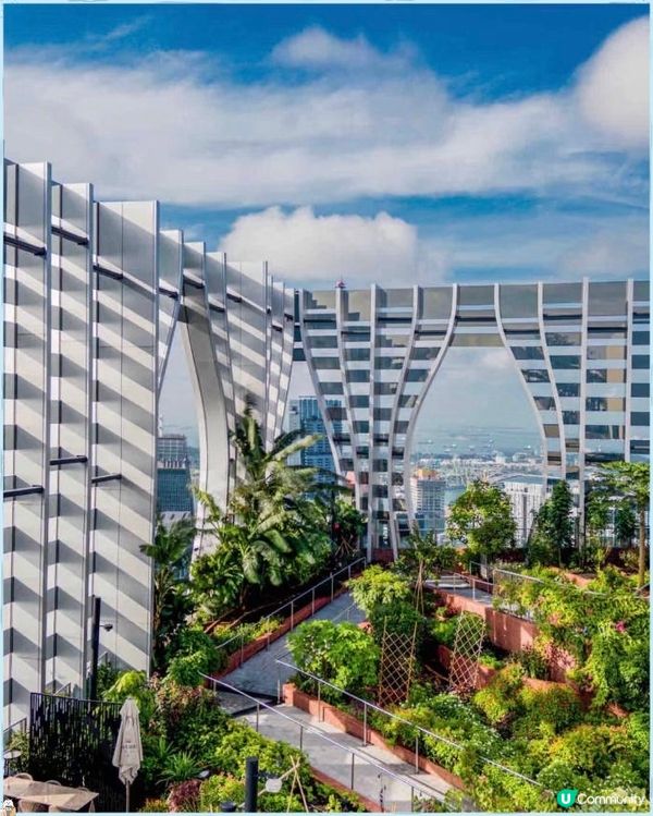 新加坡空中花園打卡📸