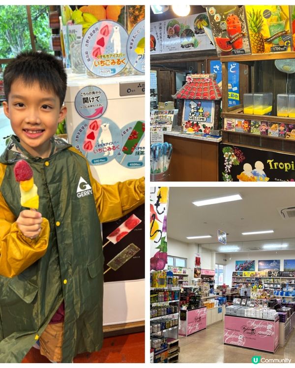 【 沖繩南部一日遊|帶你遊走多個人氣景點 】