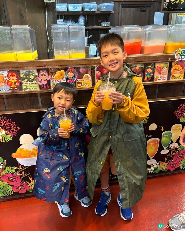 【 沖繩南部一日遊|帶你遊走多個人氣景點 】