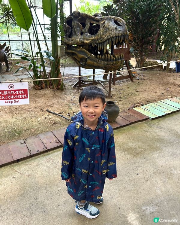 【 沖繩南部一日遊|帶你遊走多個人氣景點 】