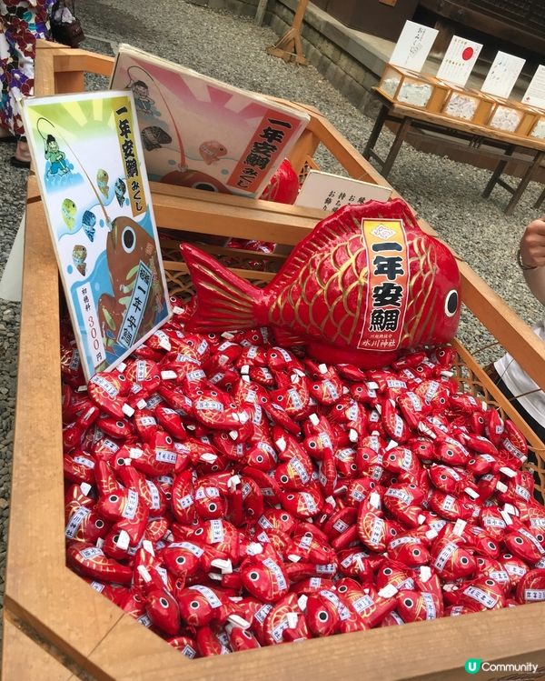 🇯🇵⛩️埼玉縣川越市的冰川神社🎋 結緣🐟🐠✨👩🏻‍❤️‍💋‍👨🏻