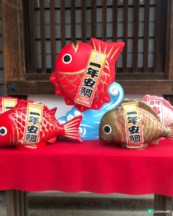 🇯🇵⛩️埼玉縣川越市的冰川神社🎋 結緣🐟🐠✨👩🏻‍❤️‍💋‍👨🏻