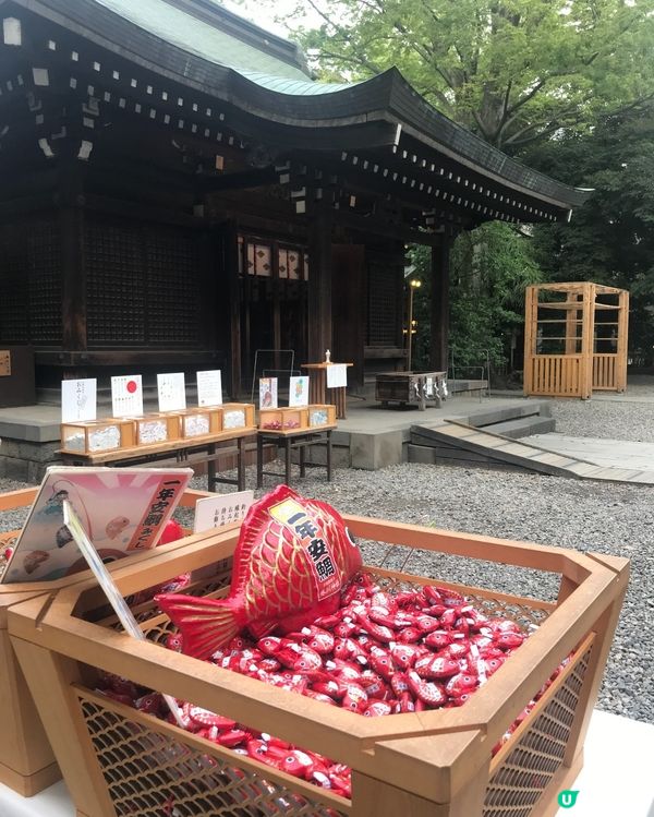🇯🇵⛩️埼玉縣川越市的冰川神社🎋 結緣🐟🐠✨👩🏻‍❤️‍💋‍👨🏻