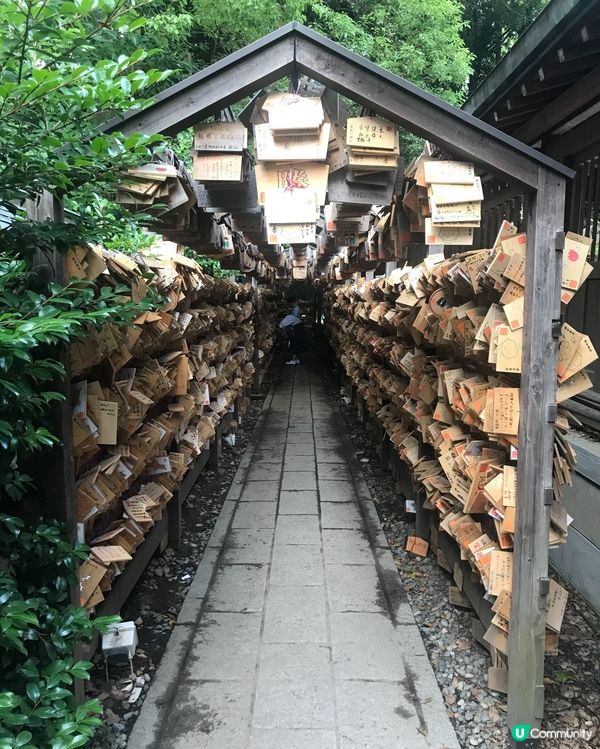 🇯🇵⛩️埼玉縣川越市的冰川神社🎋 結緣🐟🐠✨👩🏻‍❤️‍💋‍👨🏻