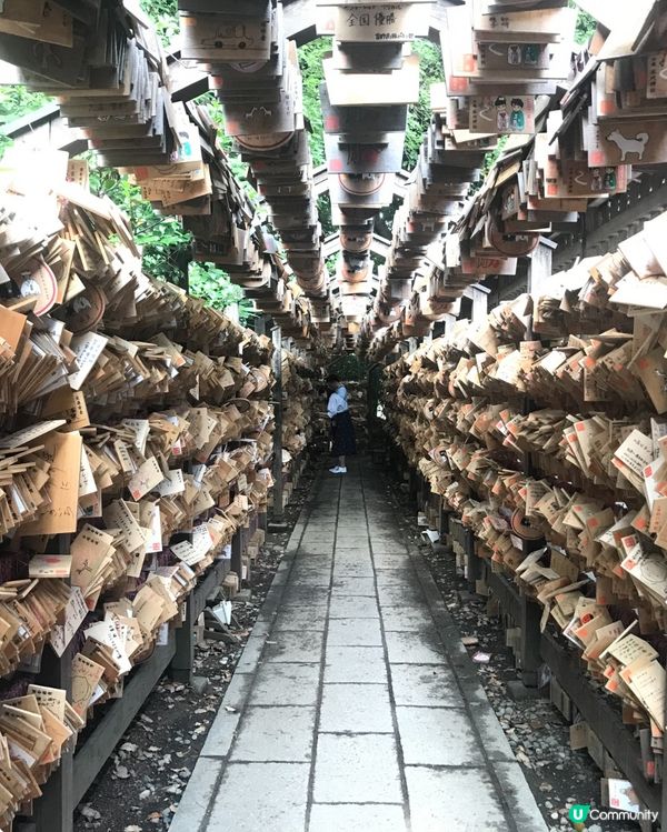 🇯🇵⛩️埼玉縣川越市的冰川神社🎋 結緣🐟🐠✨👩🏻‍❤️‍💋‍👨🏻
