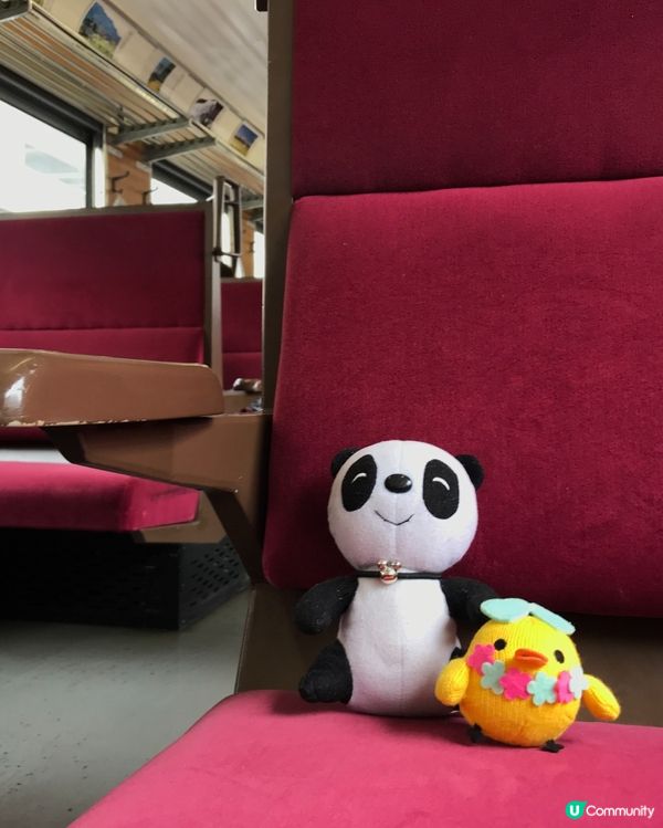 🇯🇵🚂埼玉縣秩父鐵道的蒸汽火車SL PALEO Express