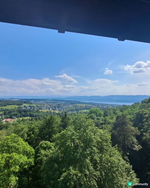 《在蘇黎世置業可能是一場惡夢》😵