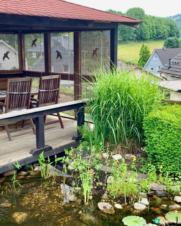 《在蘇黎世置業可能是一場惡夢》😵