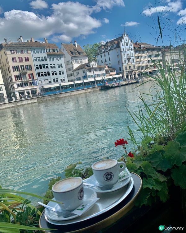 《在蘇黎世置業可能是一場惡夢》😵