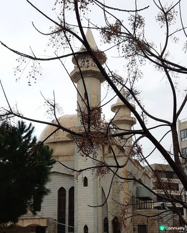 ［黎巴嫩旅遊］黎巴嫩🇱🇧賽達