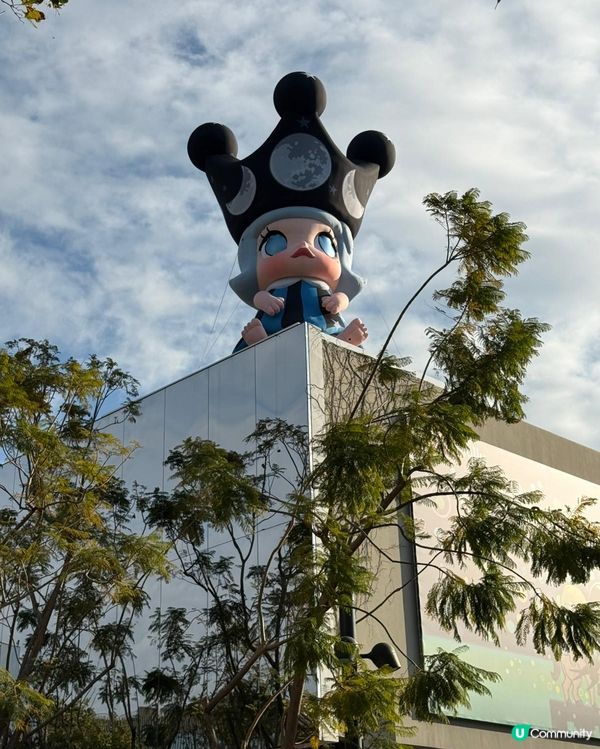 20週年Molly 特展香港站！必去朝聖！🤩