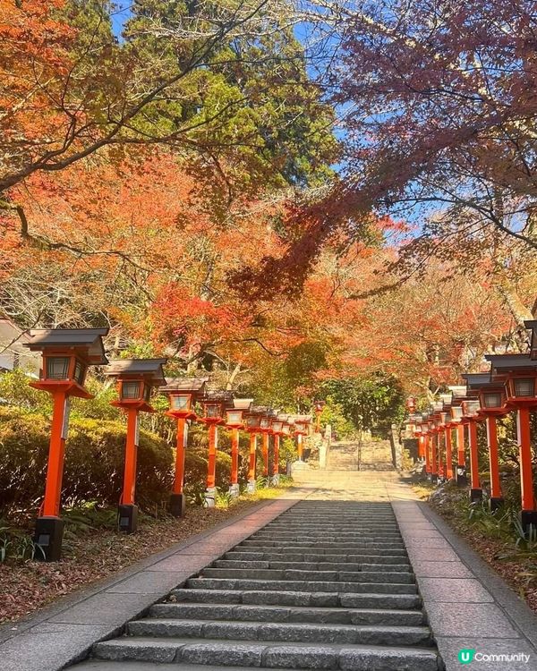 京都貴船神社⛩️ 水神保佑，良緣祈願！