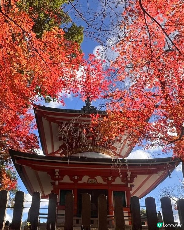 京都貴船神社⛩️ 水神保佑，良緣祈願！