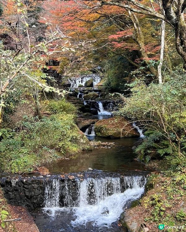 京都貴船神社⛩️ 水神保佑，良緣祈願！