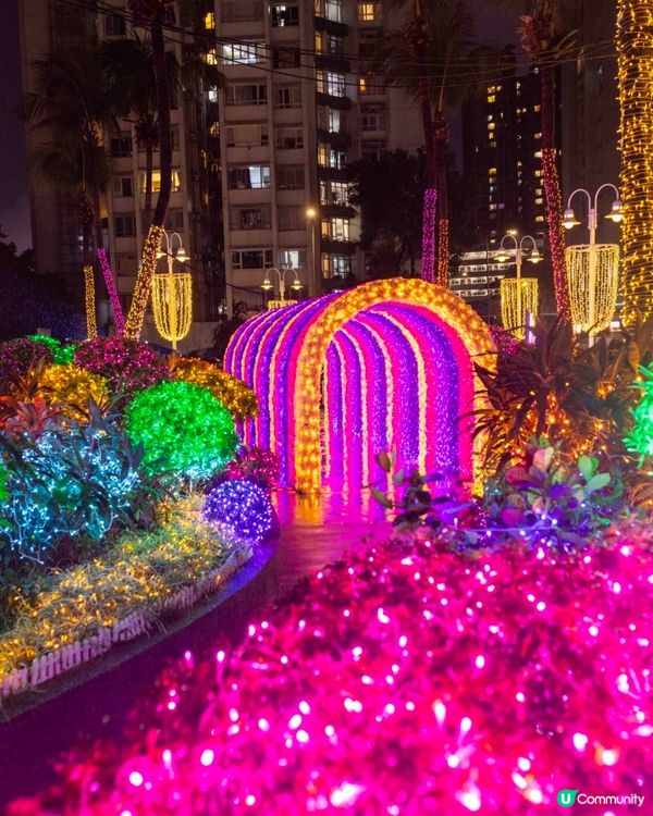 Christmas Time Is Show Time