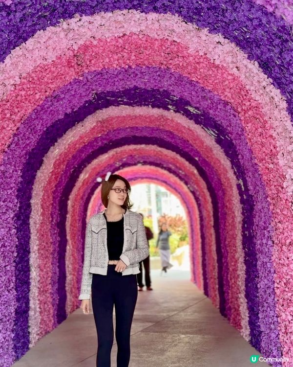 Christmas Time Is Show Time