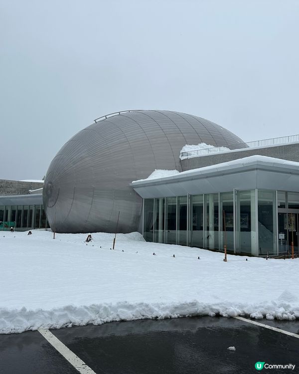 🇯🇵邊到有白色恐龍🦖？
