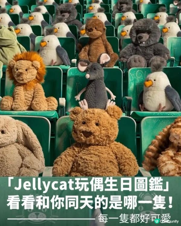 尋找屬於你嘅Jellycat生日角色！《一月至二月篇》🤩 
