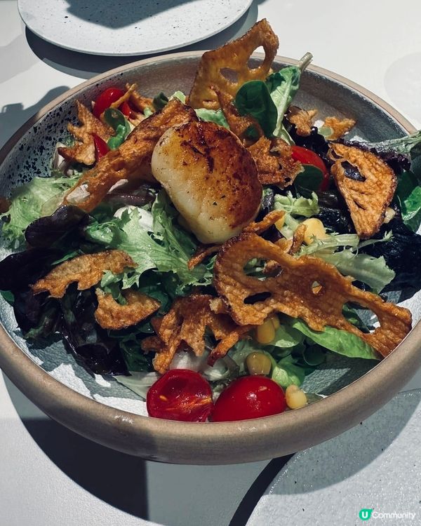 啟德新發現🤩 高質餐廳推介！