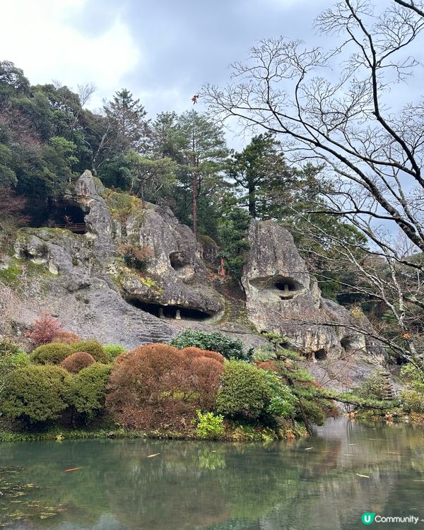✨小松烏冬✨🇯🇵石川300多年歷史鄉土名物