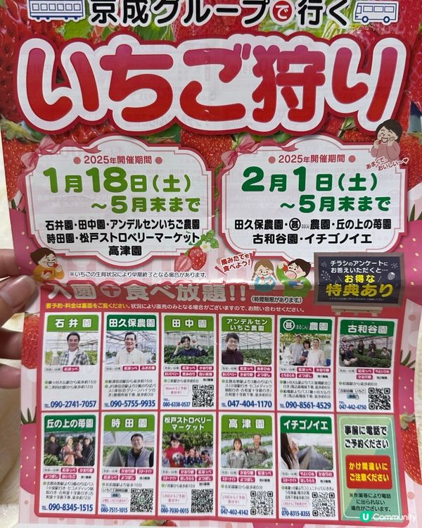 4-5月🇯🇵東京還可以摘🍓士啤梨嗎?