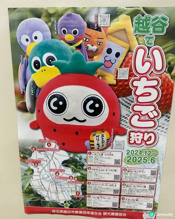 4-5月🇯🇵東京還可以摘🍓士啤梨嗎?