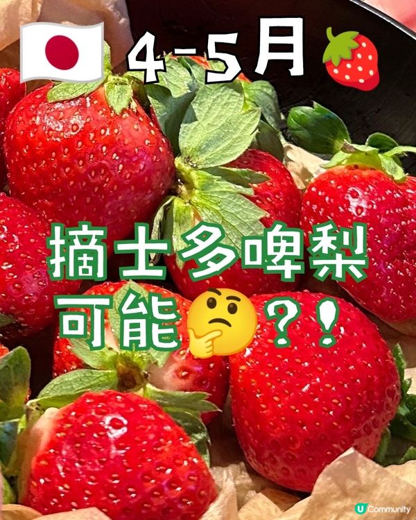 4-5月🇯🇵東京還可以摘🍓士啤梨嗎?