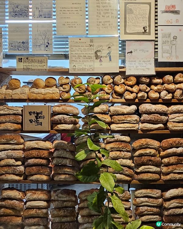 🇰🇷韓國西村隱藏版老字號麵包店｜用馬格利發酵嘅傳統好味道