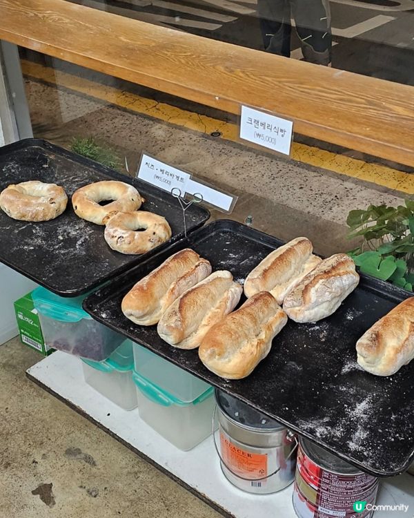🇰🇷韓國西村隱藏版老字號麵包店｜用馬格利發酵嘅傳統好味道