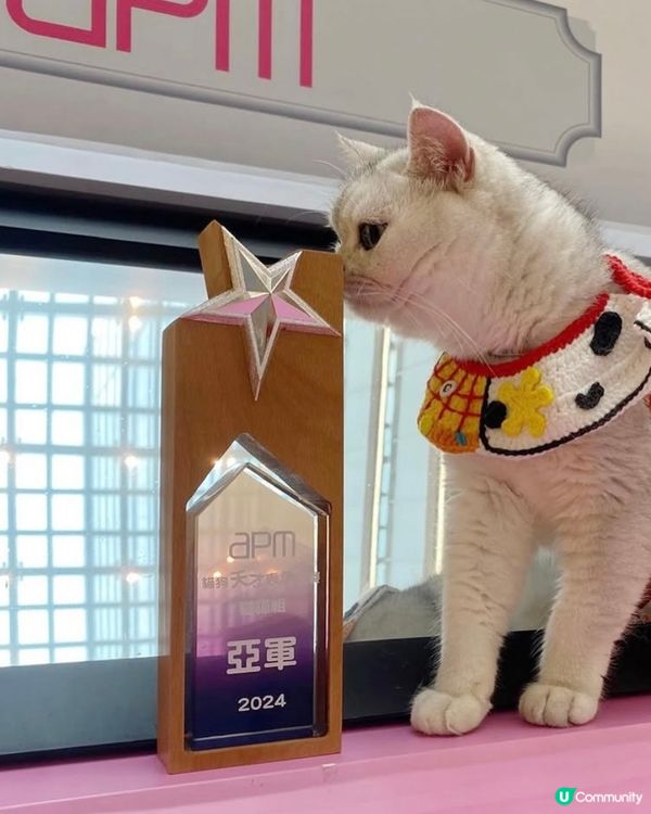 Apm貓狗天才表演大賽