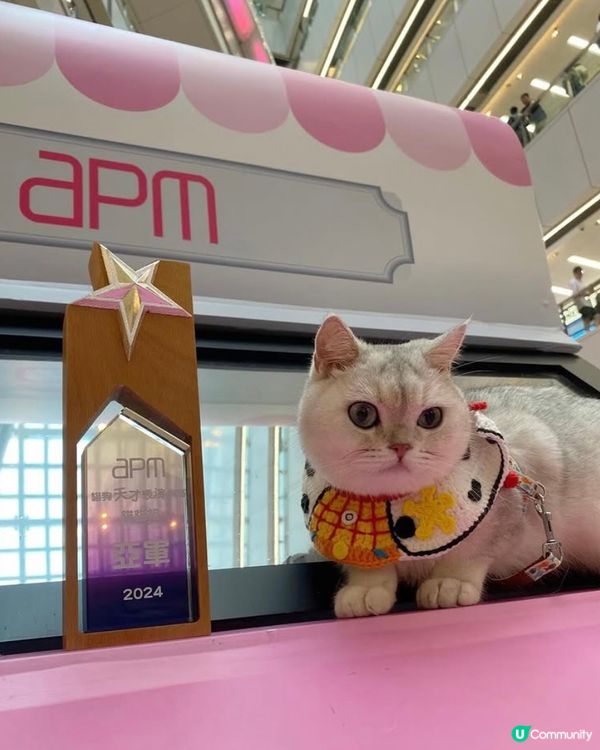 Apm貓狗天才表演大賽