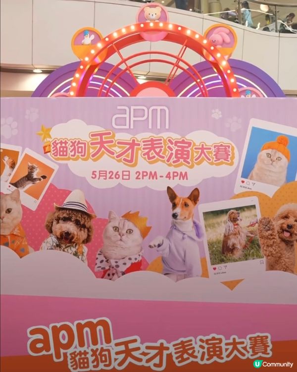 Apm貓狗天才表演大賽