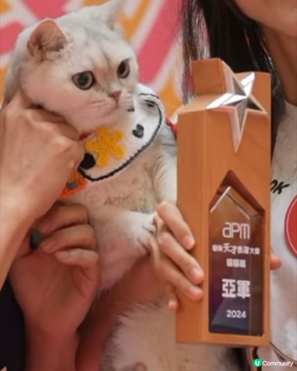 Apm貓狗天才表演大賽