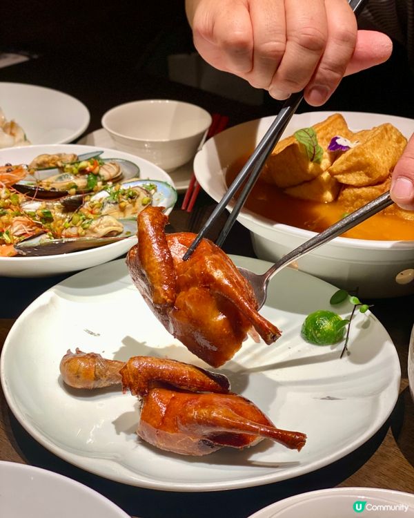 ✨深圳🇨🇳-⚠️💬再訪竟為了它⁉️💢乳鸽竟超好食⁉️📍 南乡