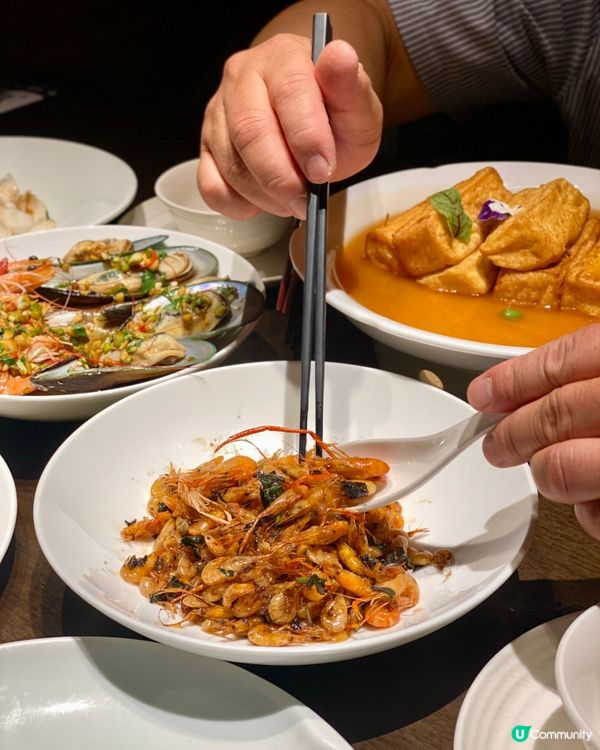 ✨深圳🇨🇳-⚠️💬再訪竟為了它⁉️💢乳鸽竟超好食⁉️📍 南乡