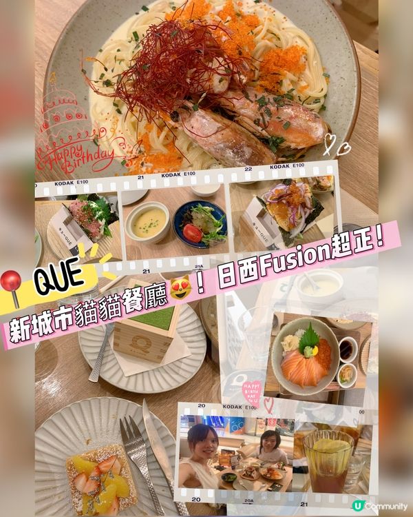 新城市貓貓餐廳😻！日西Fusion超正！