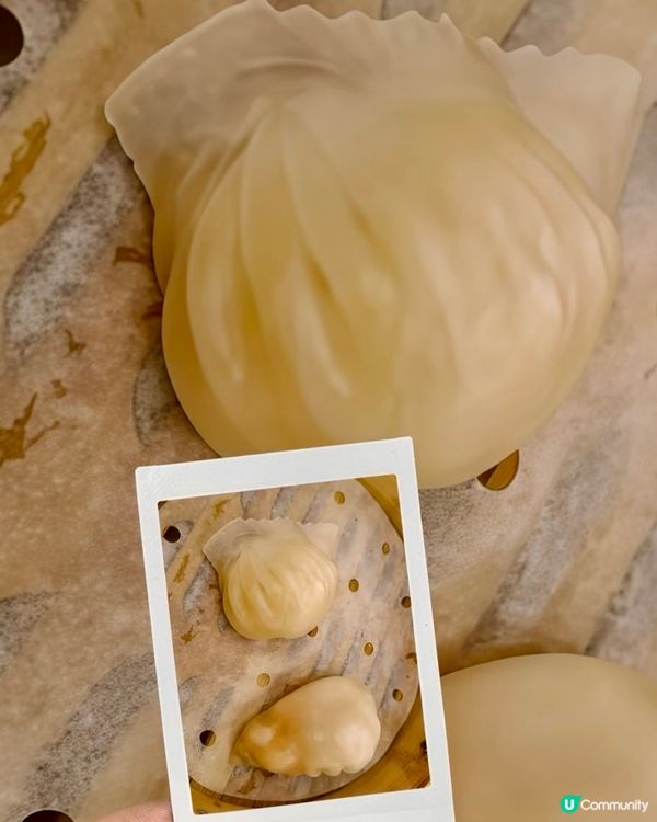 水晶蝦餃必點！😋 逸雅軒早茶🤤