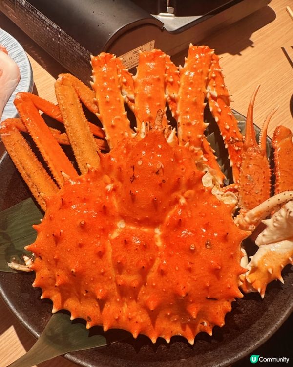 大阪城慢跑🏃‍♀️！A5宮崎牛 帝王蟹吃到爽