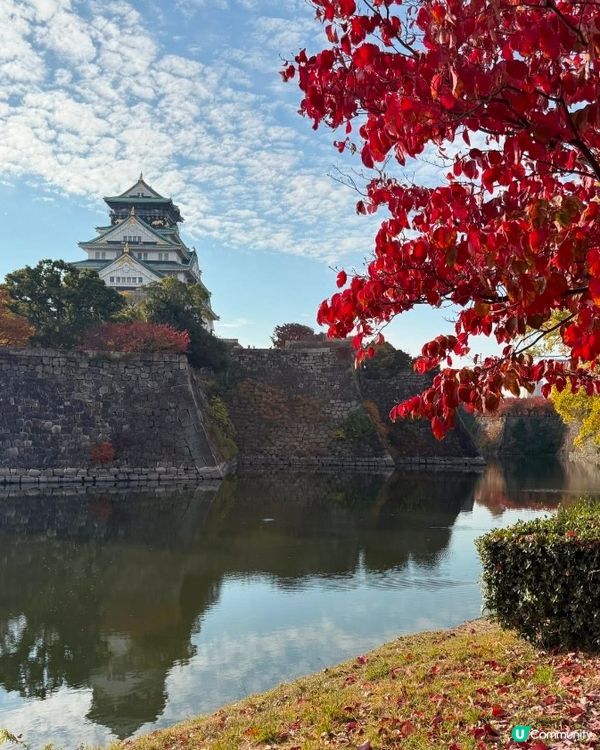 大阪城慢跑🏃‍♀️！A5宮崎牛 帝王蟹吃到爽