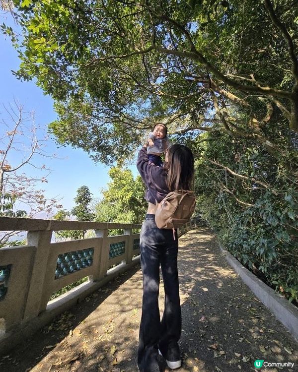 香港大埔道理農場 親子樂推介！🌳🦌🦉🦋