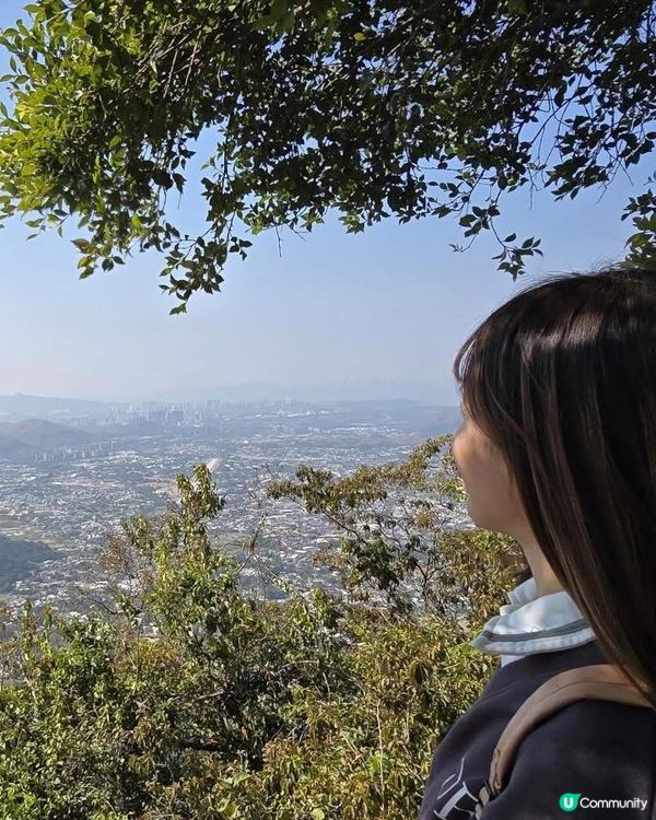 香港大埔道理農場 親子樂推介！🌳🦌🦉🦋