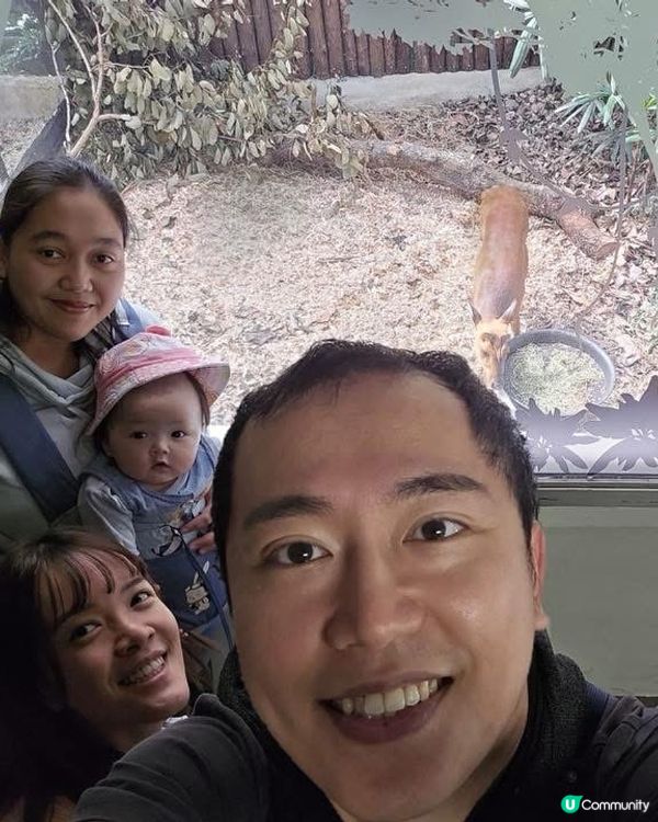 香港大埔道理農場 親子樂推介！🌳🦌🦉🦋