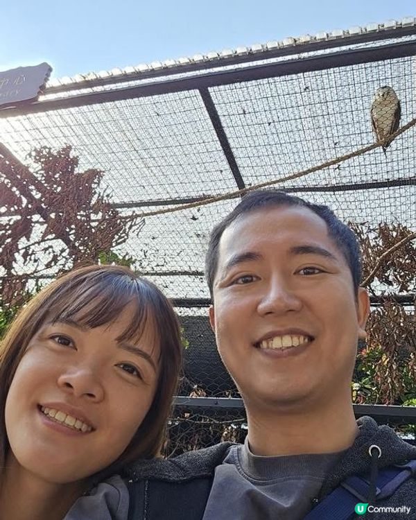 香港大埔道理農場 親子樂推介！🌳🦌🦉🦋