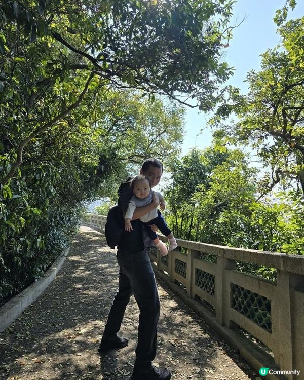 香港大埔道理農場 親子樂推介！🌳🦌🦉🦋