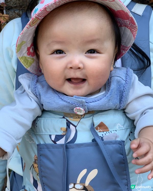 香港大埔道理農場 親子樂推介！🌳🦌🦉🦋