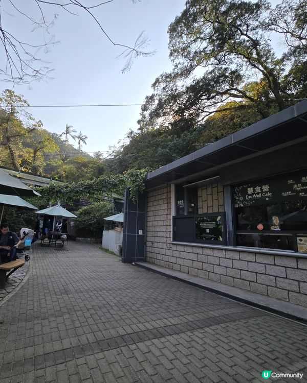 香港大埔道理農場 親子樂推介！🌳🦌🦉🦋